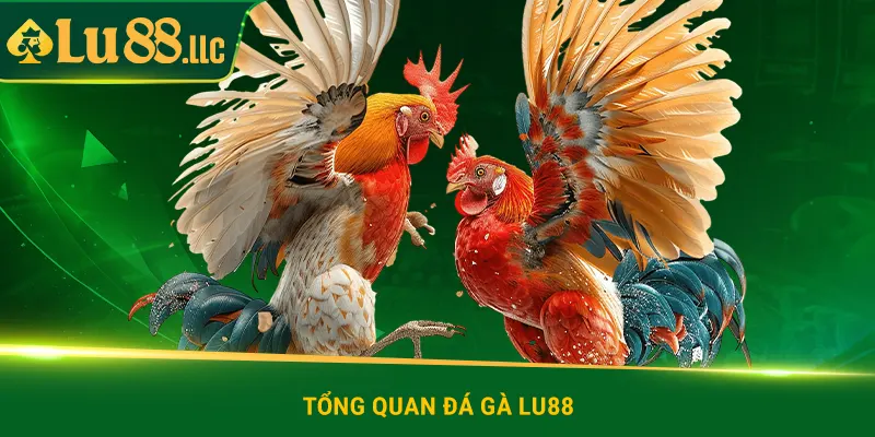 Tổng quan về đá gà lu88
