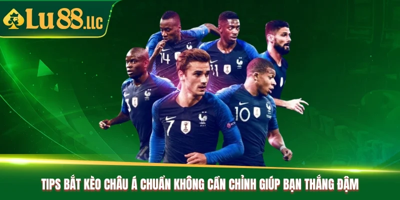 Tips bắt kèo Châu Á chuẩn không cần chỉnh giúp bạn thắng đậm Tips bắt kèo Châu Á chuẩn không cần chỉnh giúp bạn thắng đậm