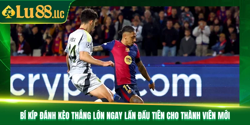Bí kíp đánh kèo thắng lớn ngay lần đầu tiên cho thành viên mới Bí kíp đánh kèo thắng lớn ngay lần đầu tiên cho thành viên mới